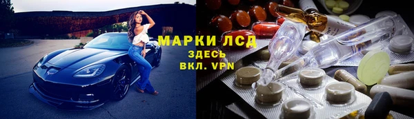 гашик Горняк