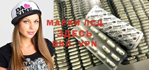 гашик Горняк