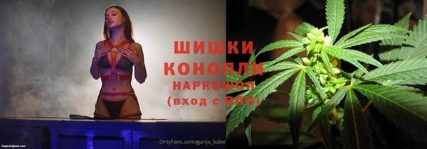 гашик Горняк