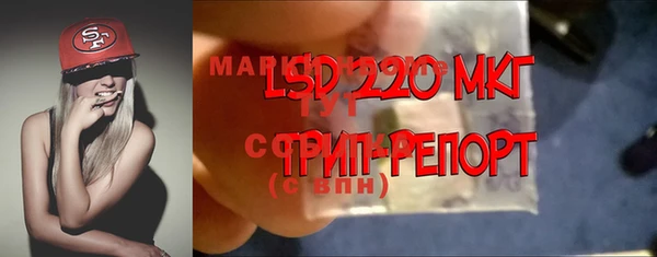 гашик Горняк