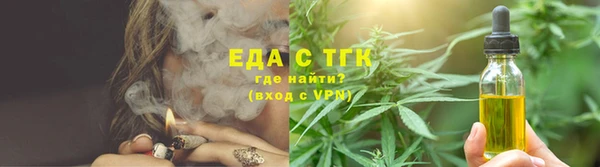 гашик Горняк