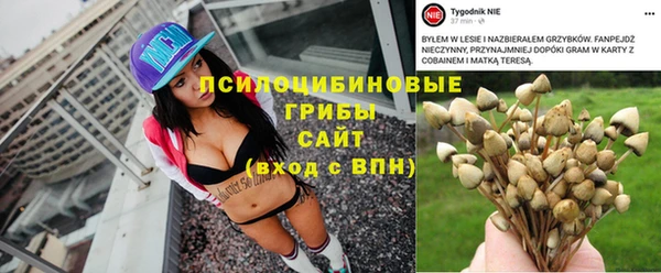 гашик Горняк