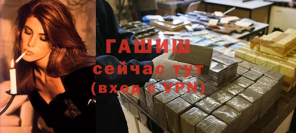 гашик Горняк