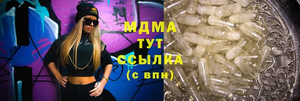 гашик Горняк