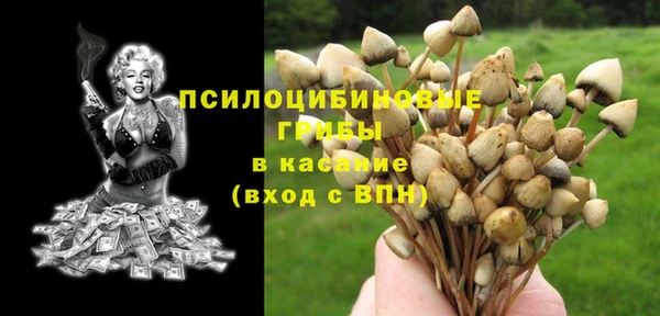 шишки Гусев