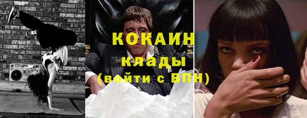 крисы Горнозаводск