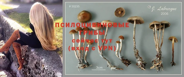 гашик Горняк