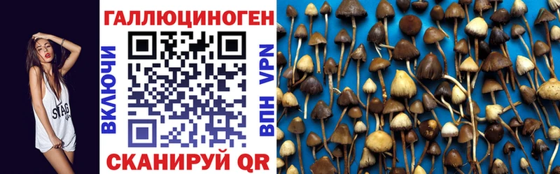 наркотики  Мценск  Псилоцибиновые грибы Magic Shrooms 